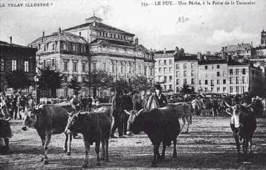 Foire aux bestiaux