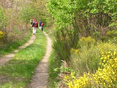 1 Le Chemin Stevenson à travers l'Auvergne et les Cévennes