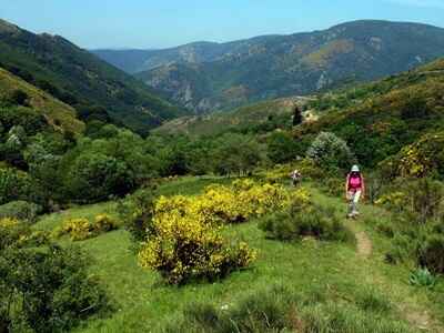 Randonnée dans les Cévennes