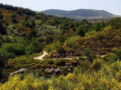 6 Randonnée dans les Cévennes par la Lozère et l'Ardèche