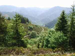 Wandeling van 16,6km in Saint-Laurent-les-Bains 2