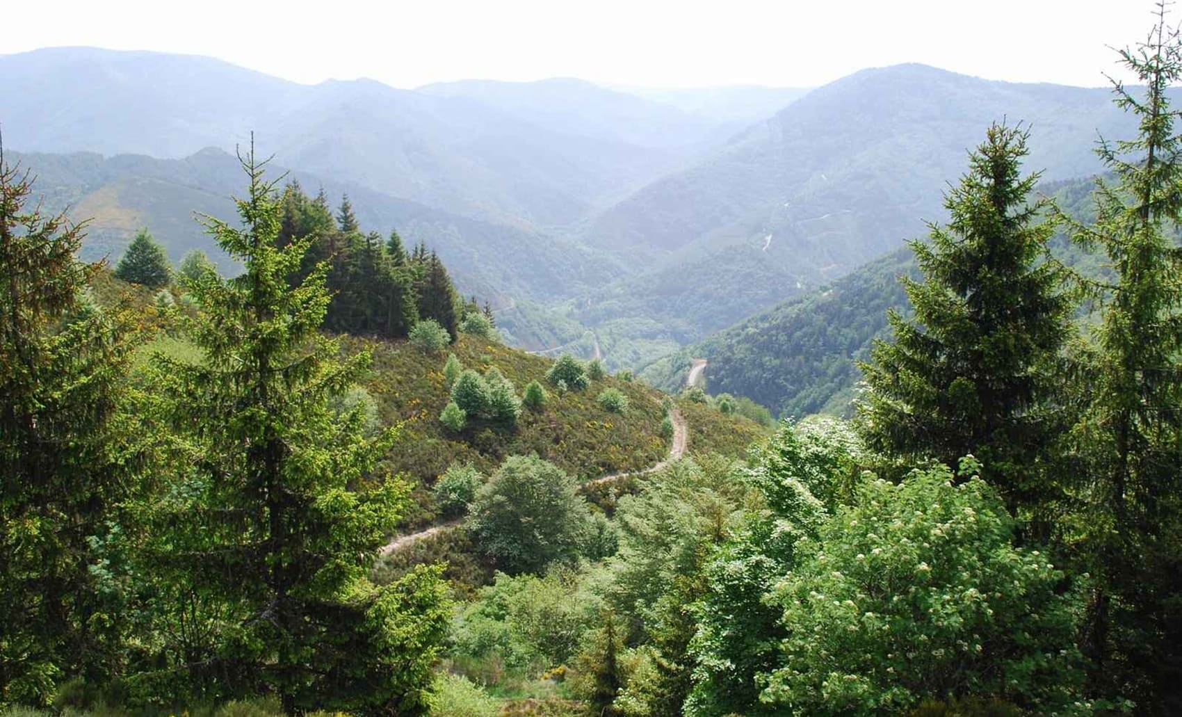 Groen landschap doorkruist tijdens de 16,6 km lange wandeling in Saint-Laurent-les-Bains