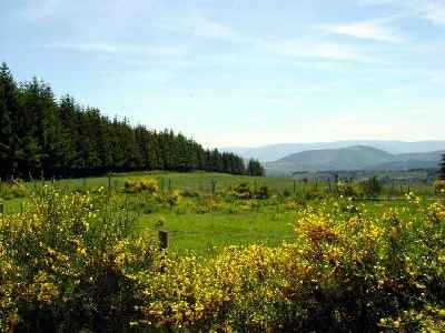 Paysage du Tanargue en Ardèche