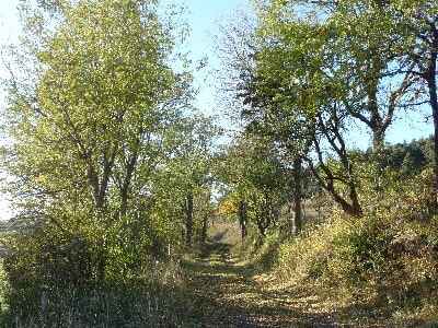 Sentier Stevenson