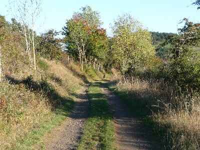 Chemin Stevenson