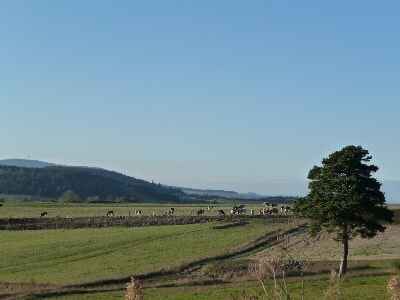 Massif Central