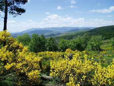 La margeride en Lozère