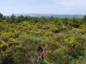11 km fottur fra L'Etoile gjestehus til La Bastide-Puylaurent i Lozère 2