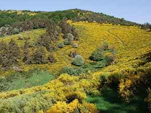 Пеший тур длиной 14 км в La Bastide-Puylaurent в Lozère 5