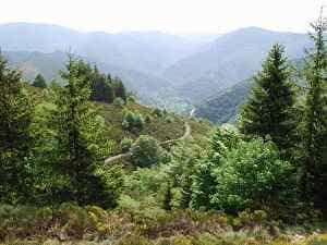 15,5 km vaellus L'Etoile majatalosta La Bastide-Puylaurentissa Lozèressä 3