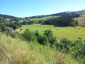 Пеший тур длиной 19 км в La Bastide-Puylaurent в Lozère 1