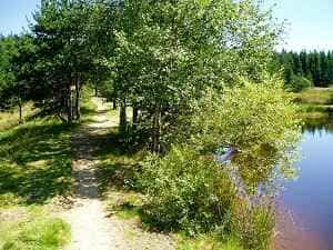 在Lozere的La Bastide-Puylaurent进行24公里的徒步旅行 3