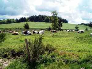 在Lozere的La Bastide-Puylaurent进行4公里的徒步旅行 3