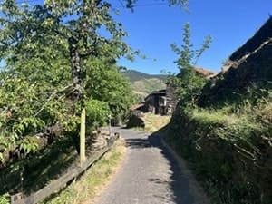 Saint Laurent les Bains